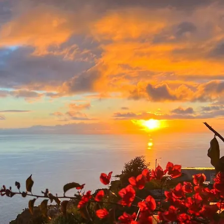 Acacia * Arco da Calheta (Madeira)