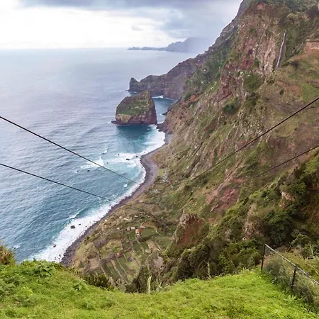 Acacia * Arco da Calheta (Madeira)