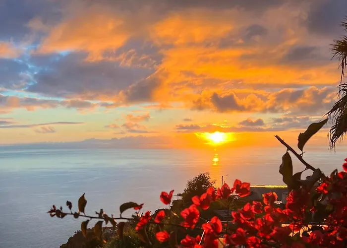 Acacia * ארקו דה קלחטה